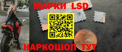 шишки Можга