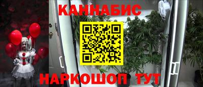шишки Можга