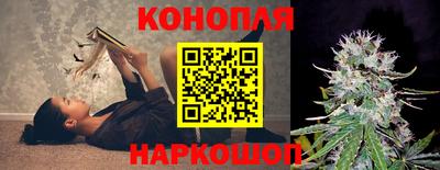 шишки Можга