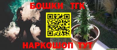 шишки Можга