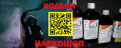 шишки Можга