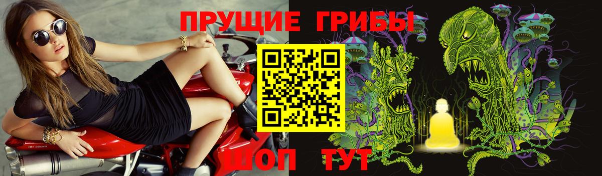 Галлюциногенные грибы Cubensis  Галлюциногенные грибы Cubensis  Усть-Джегута  Вход с VPN 